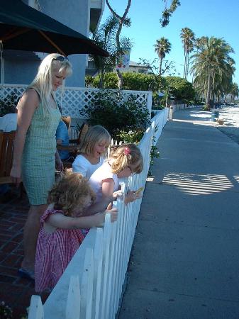 Caroline's party- Watching the boys on the Boardwalk.jpg 31.8K